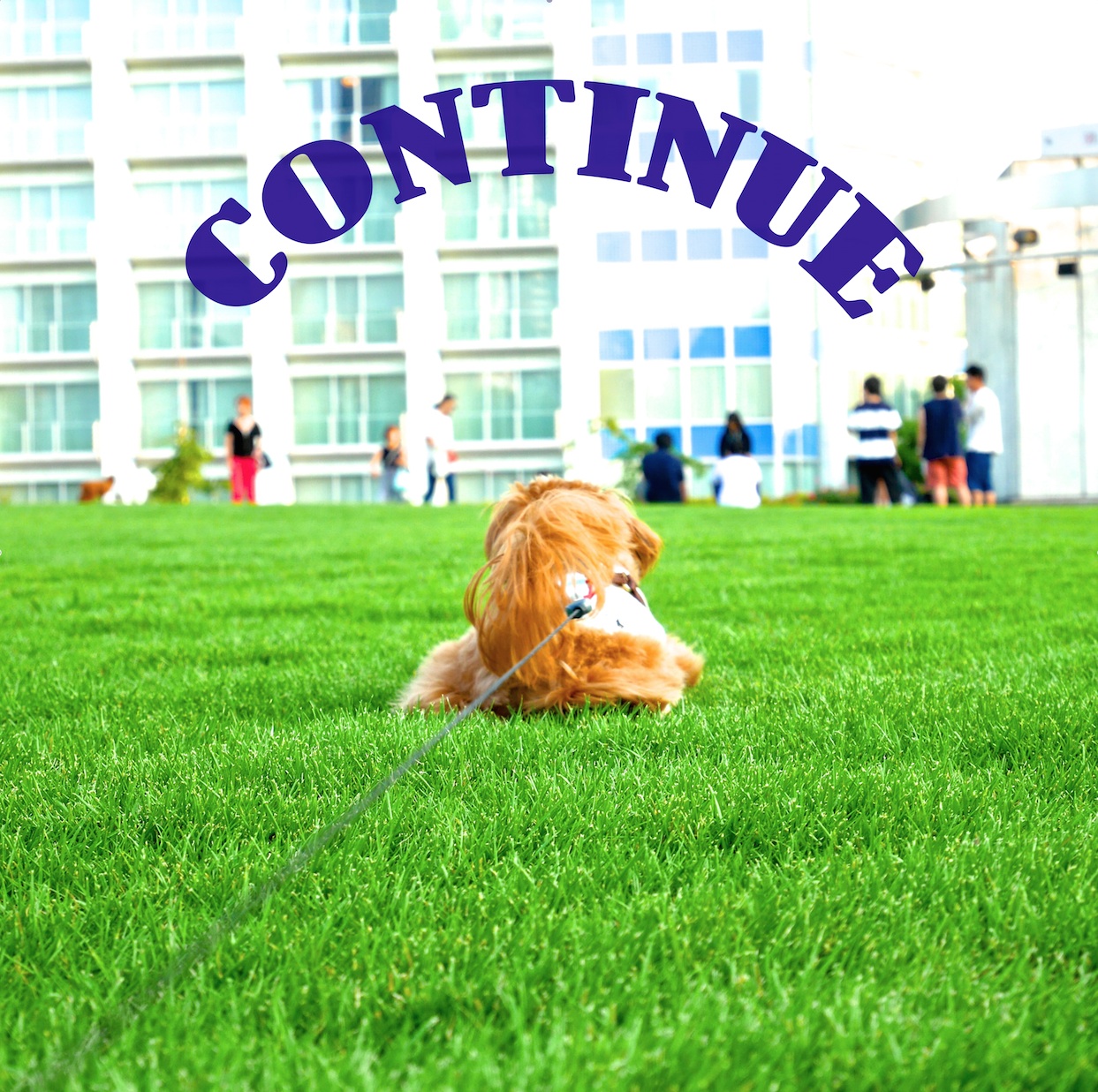 -Monthly Single 8月-「CONTINUE」